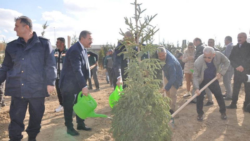 Gölbaşı'nda fidanlar toprakla buluştu